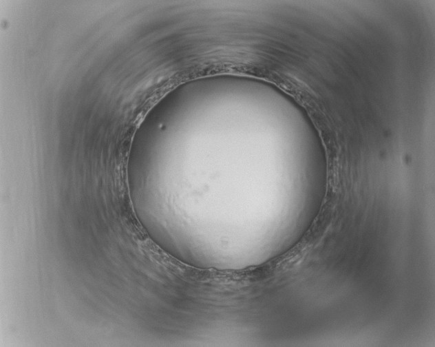 X0000052550917200507291912