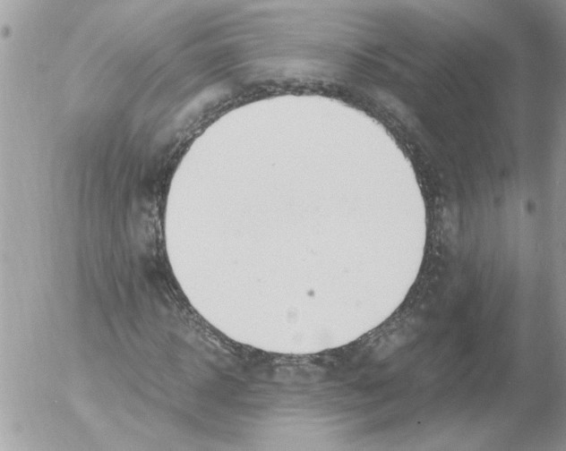 X0000052550918200507291912