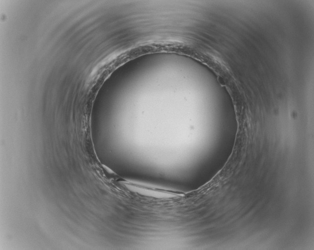 X0000052550920200507291912