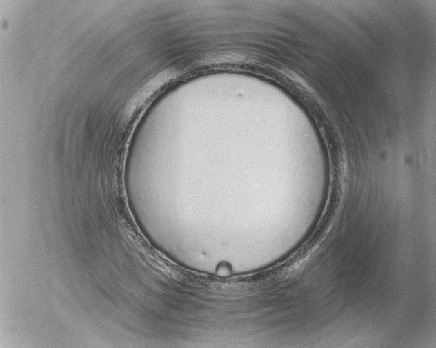 X0000052550921200507291912