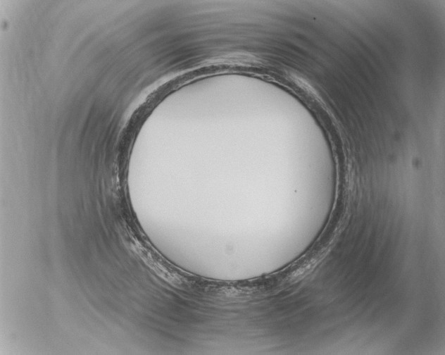 X0000052550923200507291912