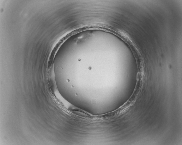 X0000052550924200507291912