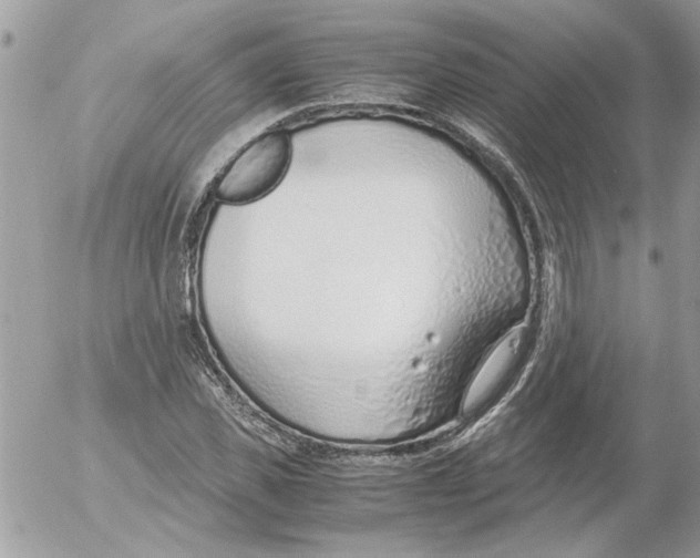 X0000052550925200507291912