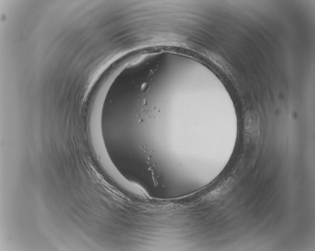 X0000052550926200507291912