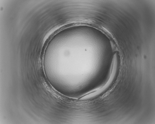 X0000052550928200507291912