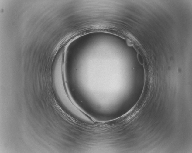 X0000052550930200507291912