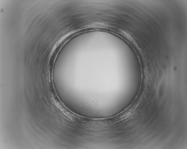 X0000052550931200507291912