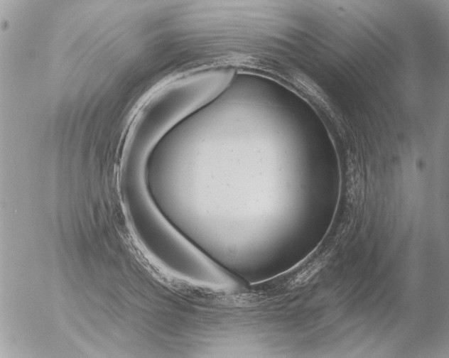 X0000052550932200507291912