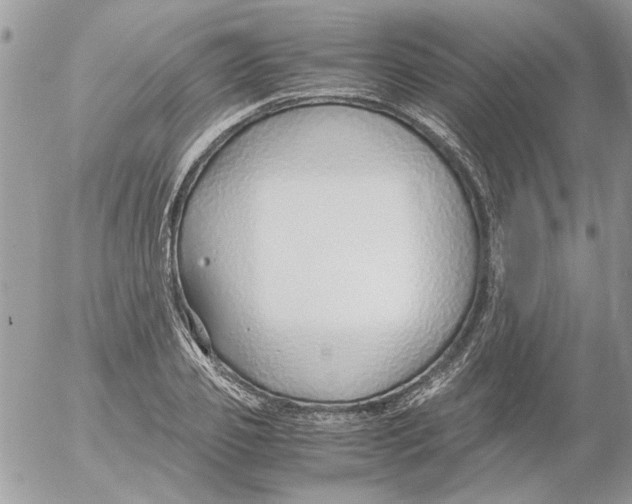 X0000052550933200507291912