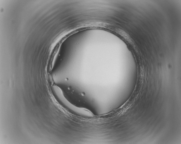 X0000052550936200507291912