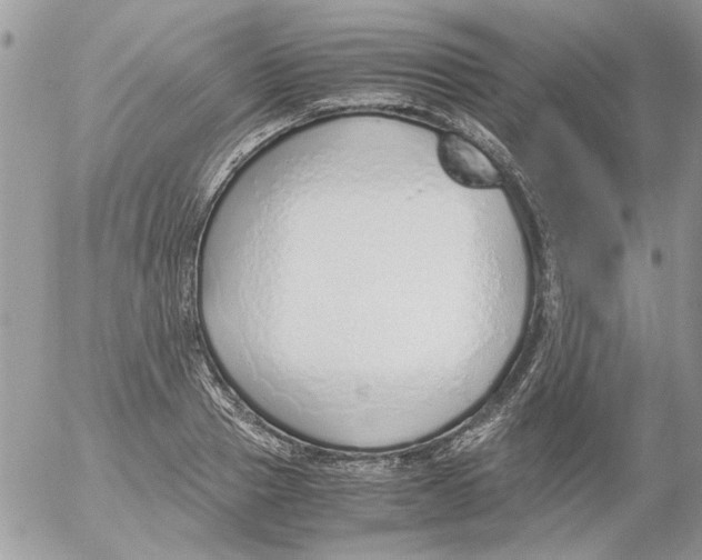 X0000052550937200507291912