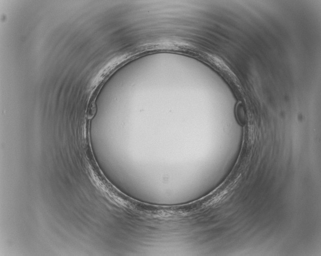 X0000052550938200507291912