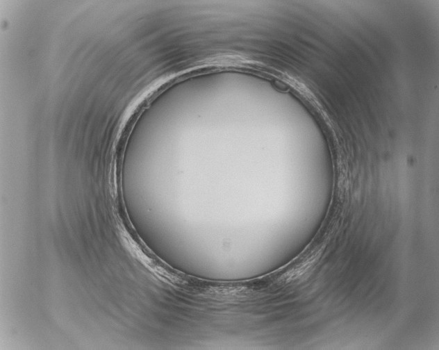 X0000052550939200507291912