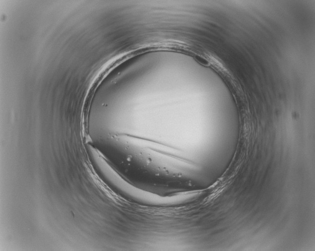 X0000052550940200507291912