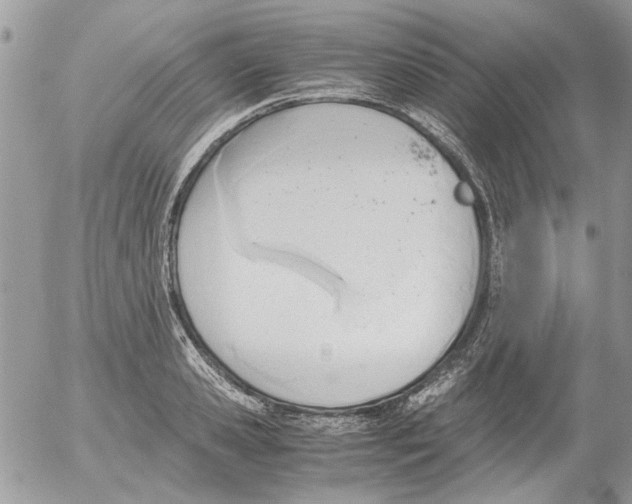 X0000052550941200507291912