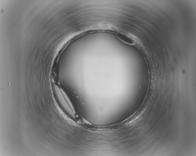 X0000052550942200507291912