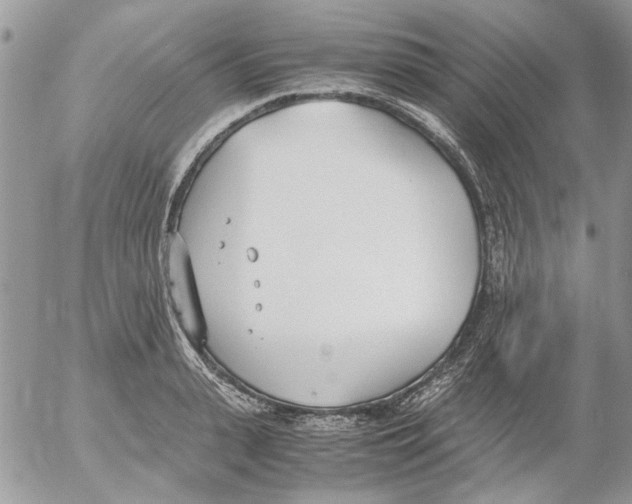 X0000052550943200507291912