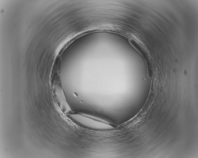 X0000052550944200507291912