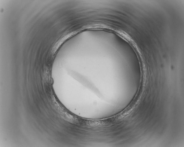 X0000052550945200507291912