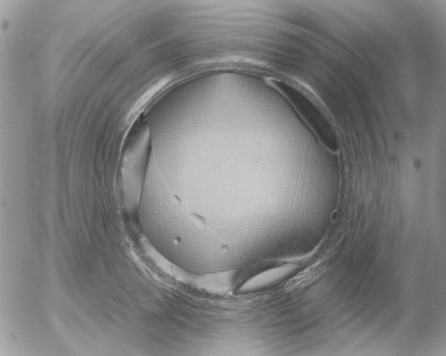 X0000052550946200507291912