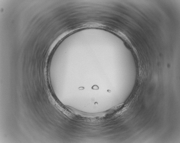 X0000052550947200507291912