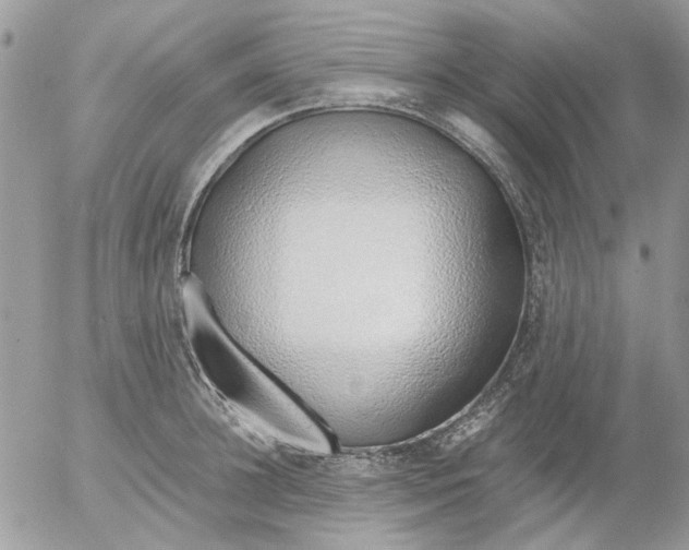 X0000052550948200507291912