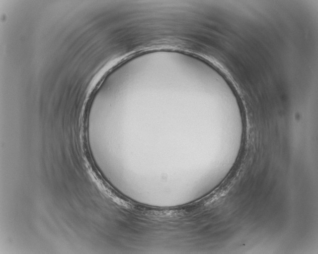 X0000052550949200507291912