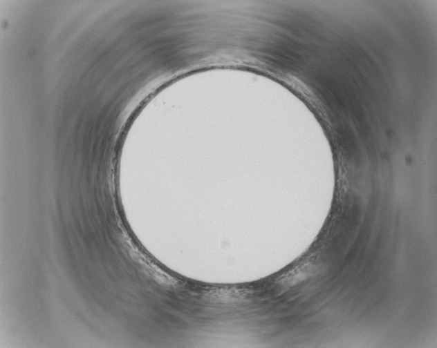 X0000052550950200507291912