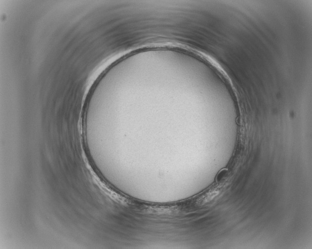 X0000052550951200507291912