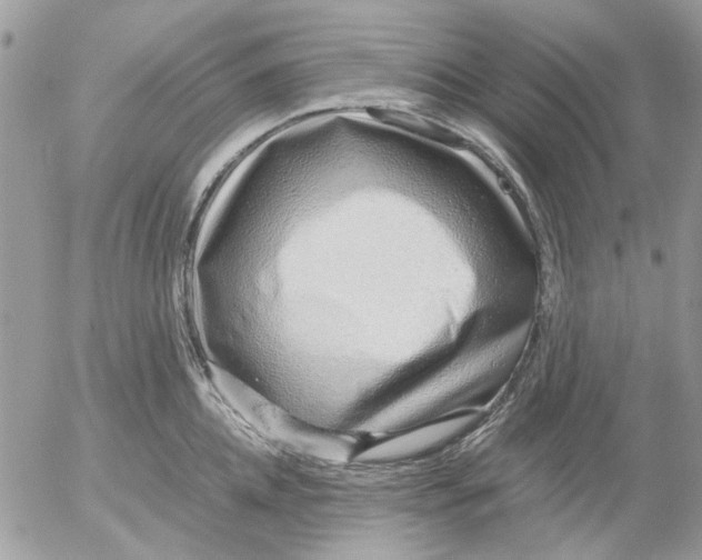 X0000052550952200507291912