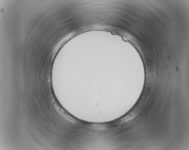 X0000052550954200507291912