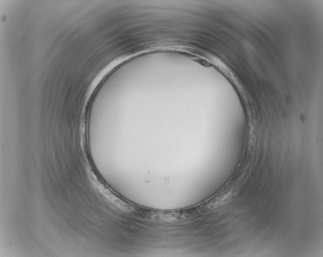 X0000052550955200507291912