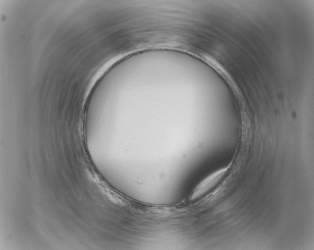 X0000052550956200507291912