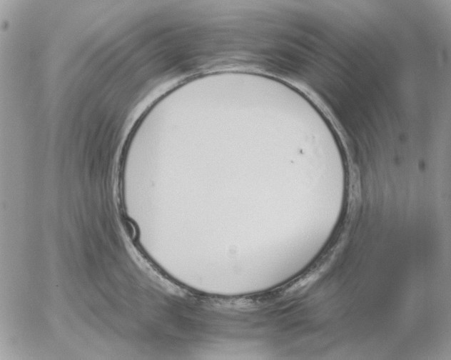 X0000052550957200507291912