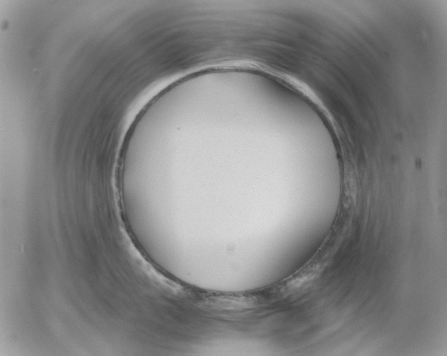 X0000052550959200507291912