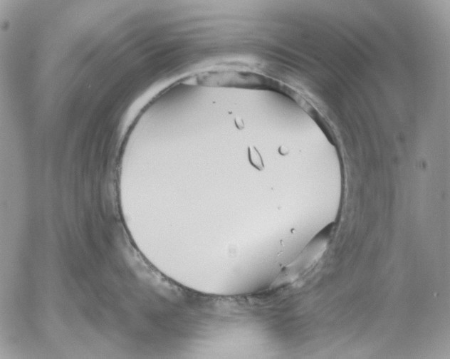 X0000052550960200507291912