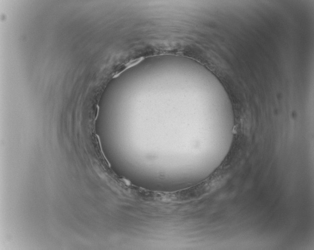 X0000052550961200507291912