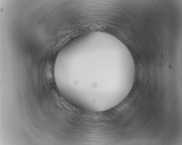 X0000052550962200507291911