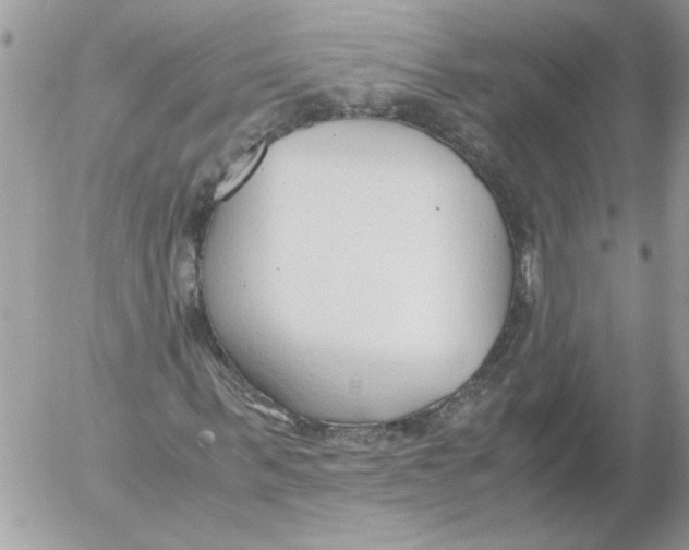 X0000052550963200507291911