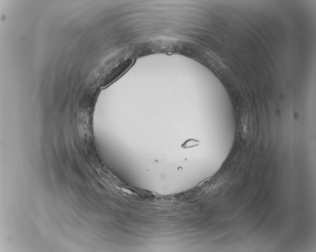 X0000052550964200507291911