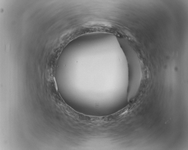 X0000052550965200507291911