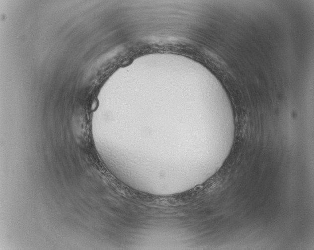 X0000052550966200507291911