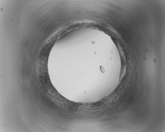 X0000052550967200507291911