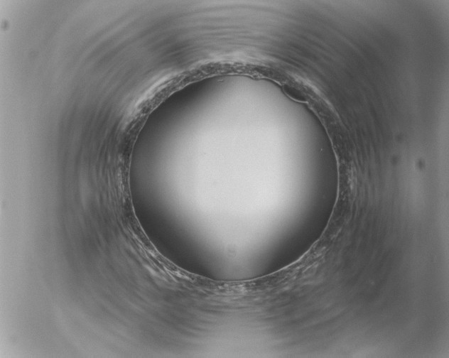 X0000052550968200507291911