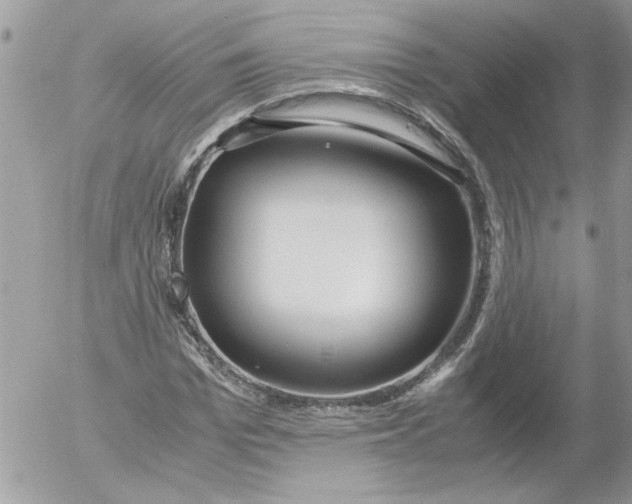 X0000052550969200507291911