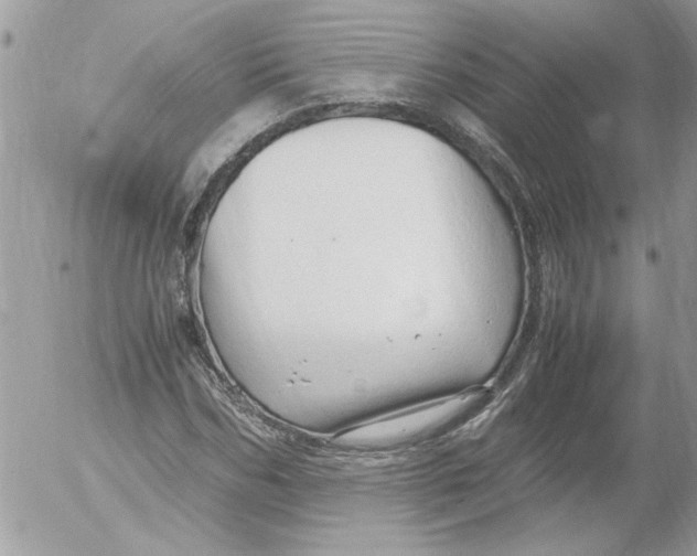 X0000052550970200507291911