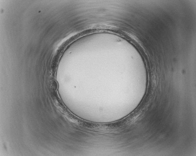 X0000052550971200507291911