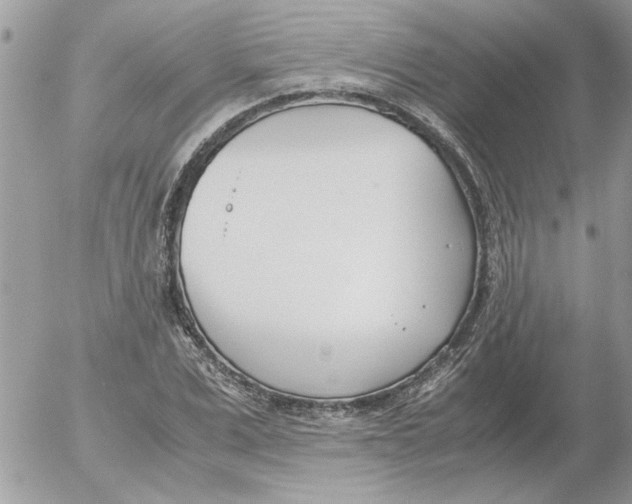 X0000052550975200507291911