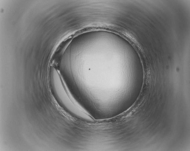 X0000052550976200507291911