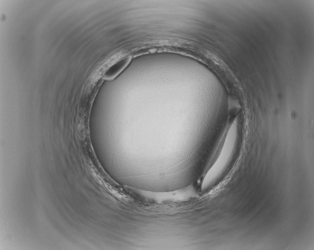 X0000052550977200507291911